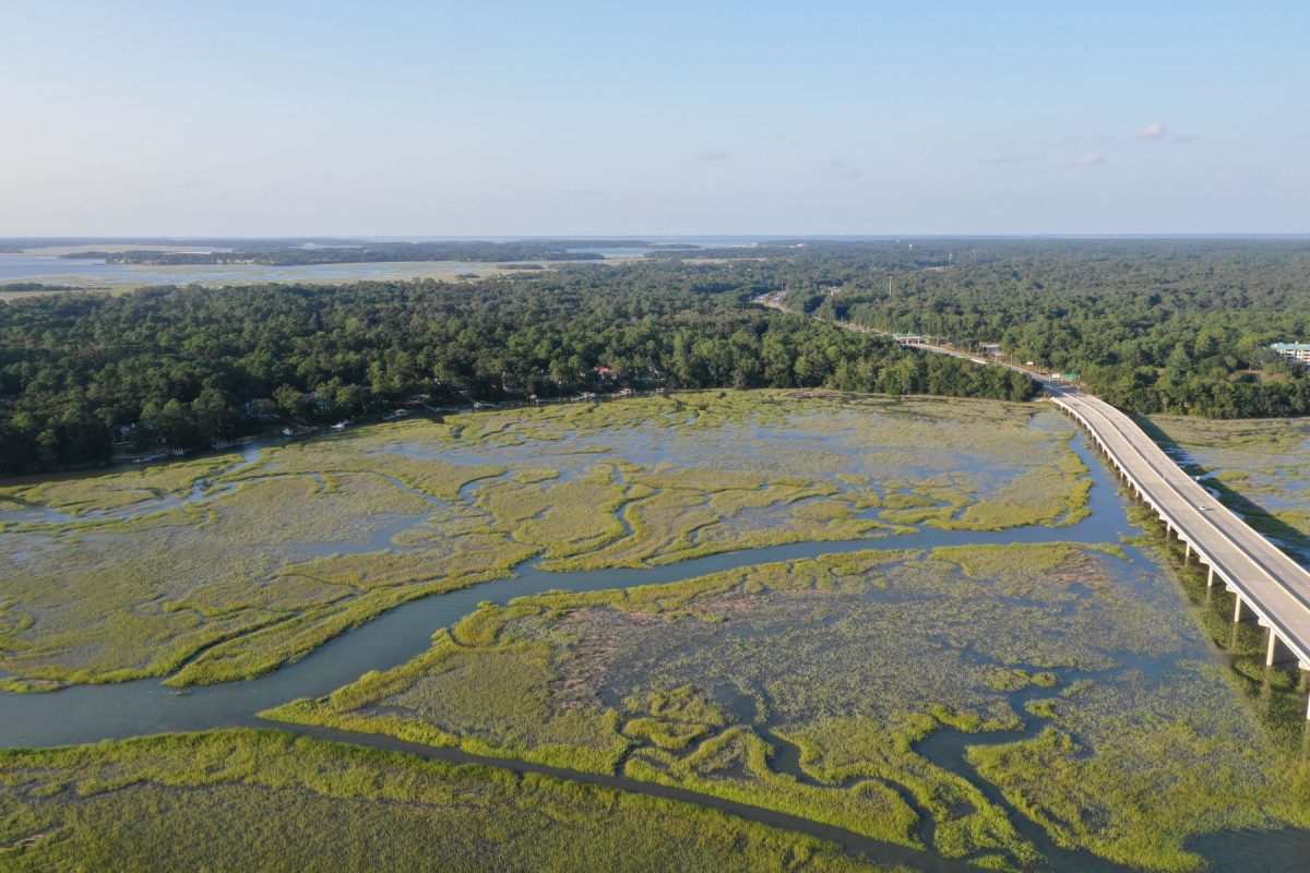Helicopter Tours on Hilton Head Island