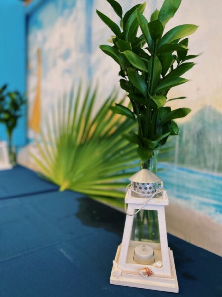 beach wedding decor