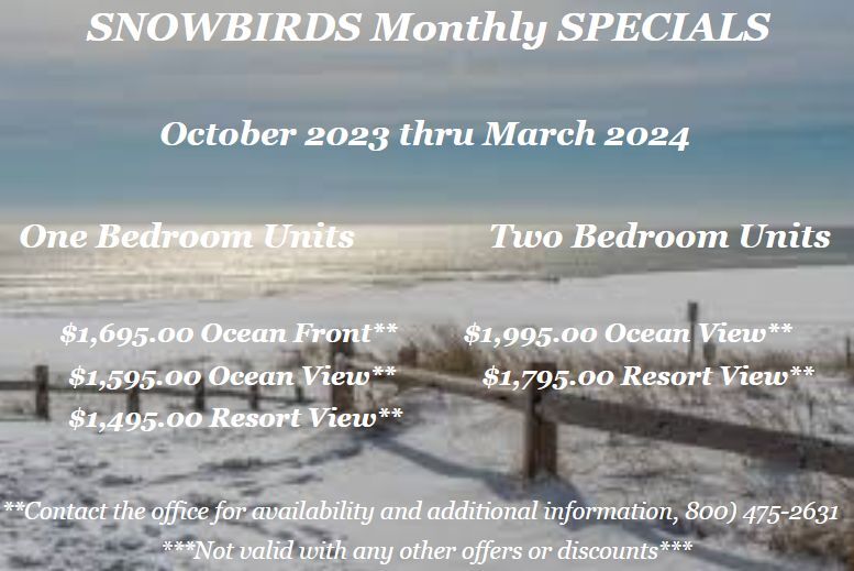 snowbird-special banner
