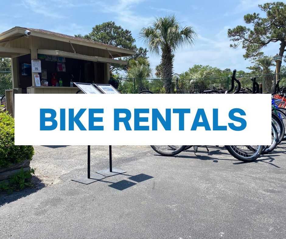 graphic that reads "bike rentals" with a bike background picture