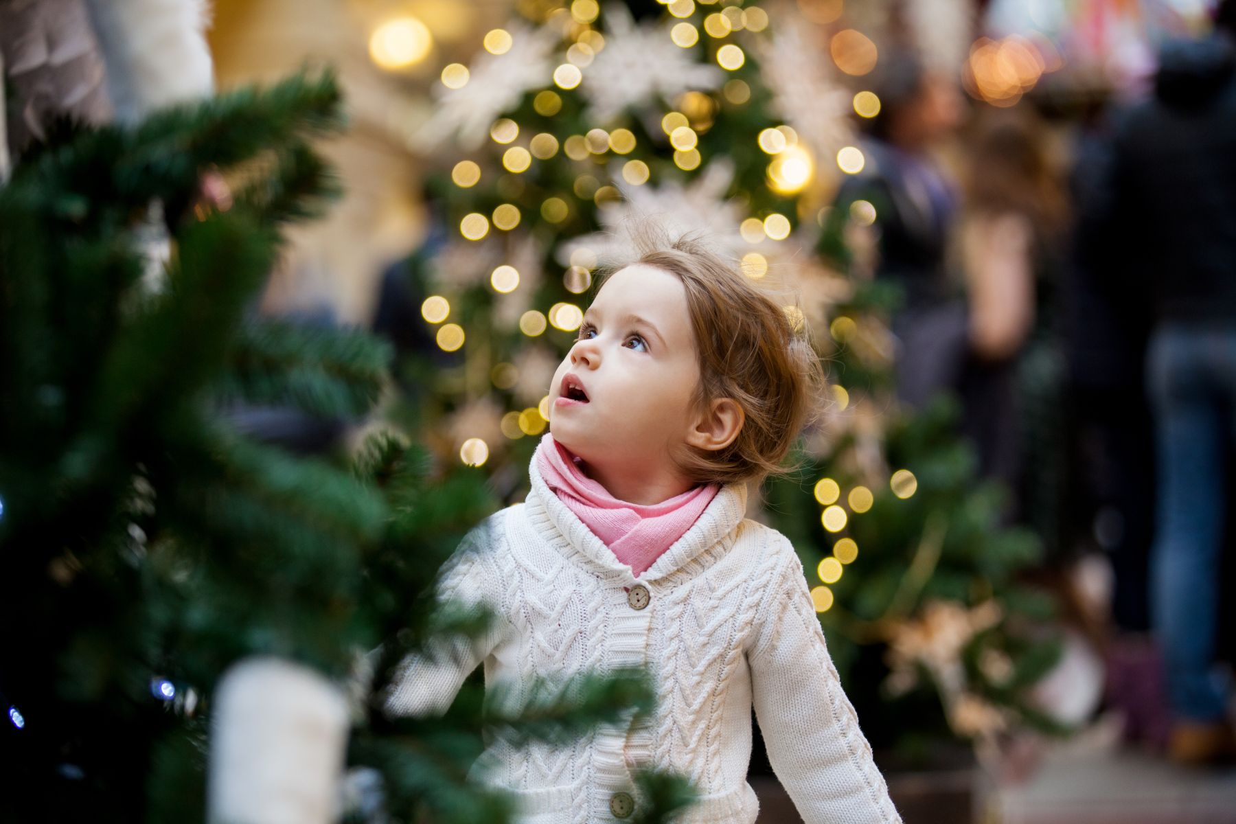 girl looking at Christmas trees